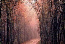 下载股票交易软件app:做股票配资7大技巧-业绩大超预期！阿里云概念表现强劲